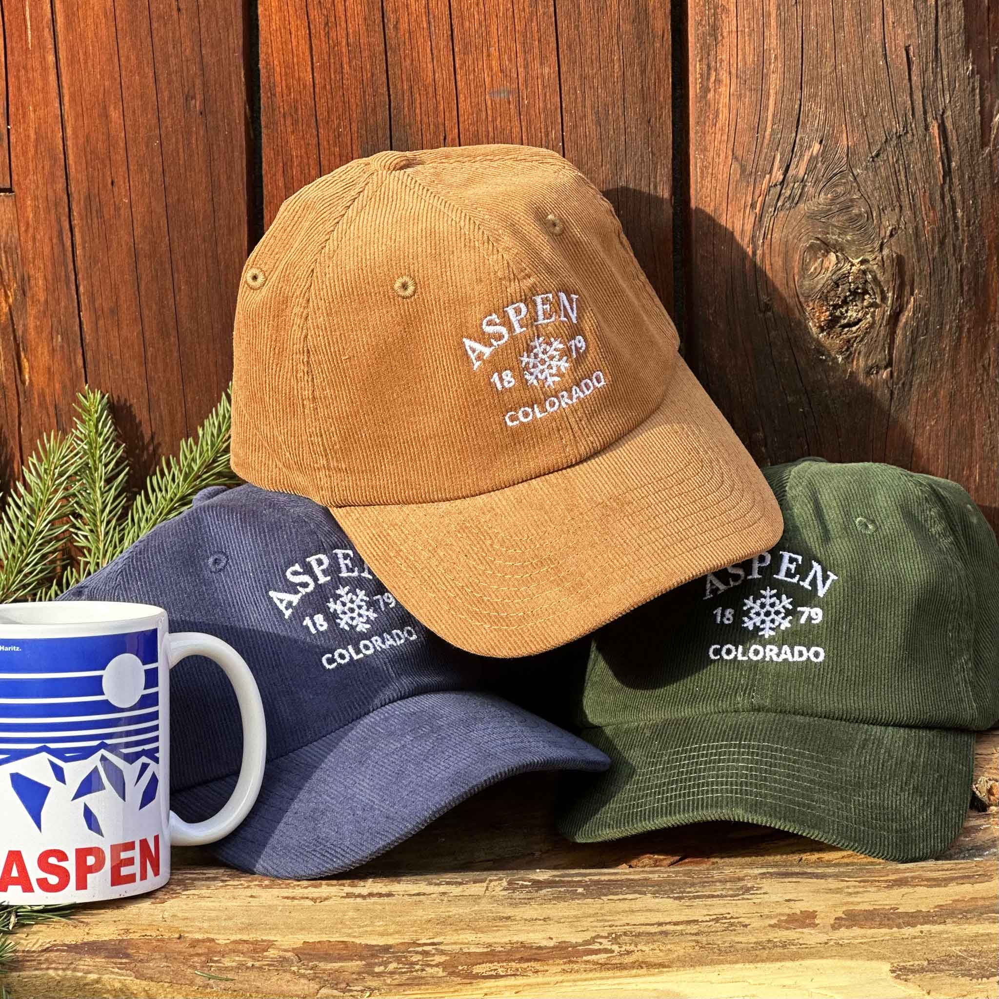 Aspen Cap - Brown