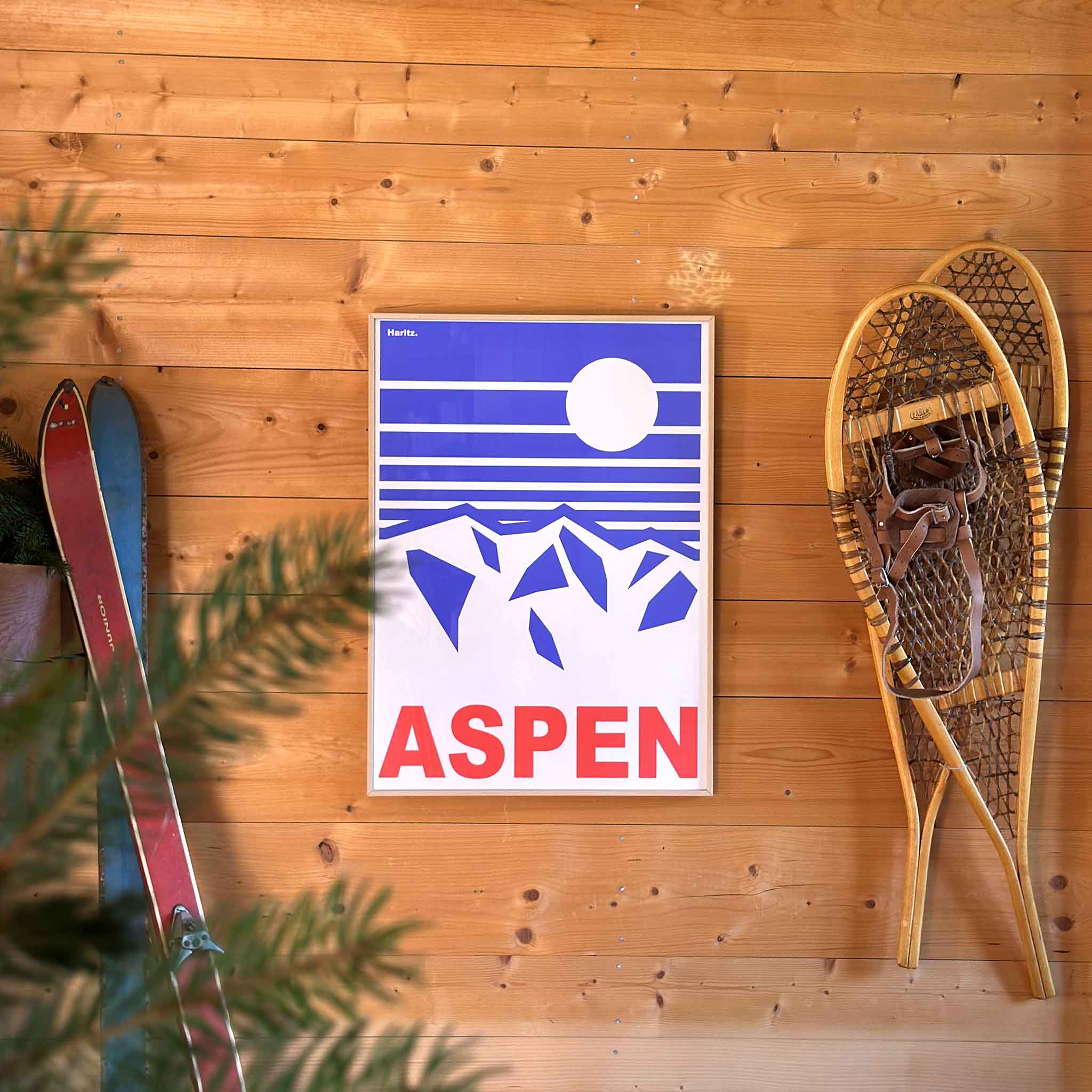 ASPEN 80's