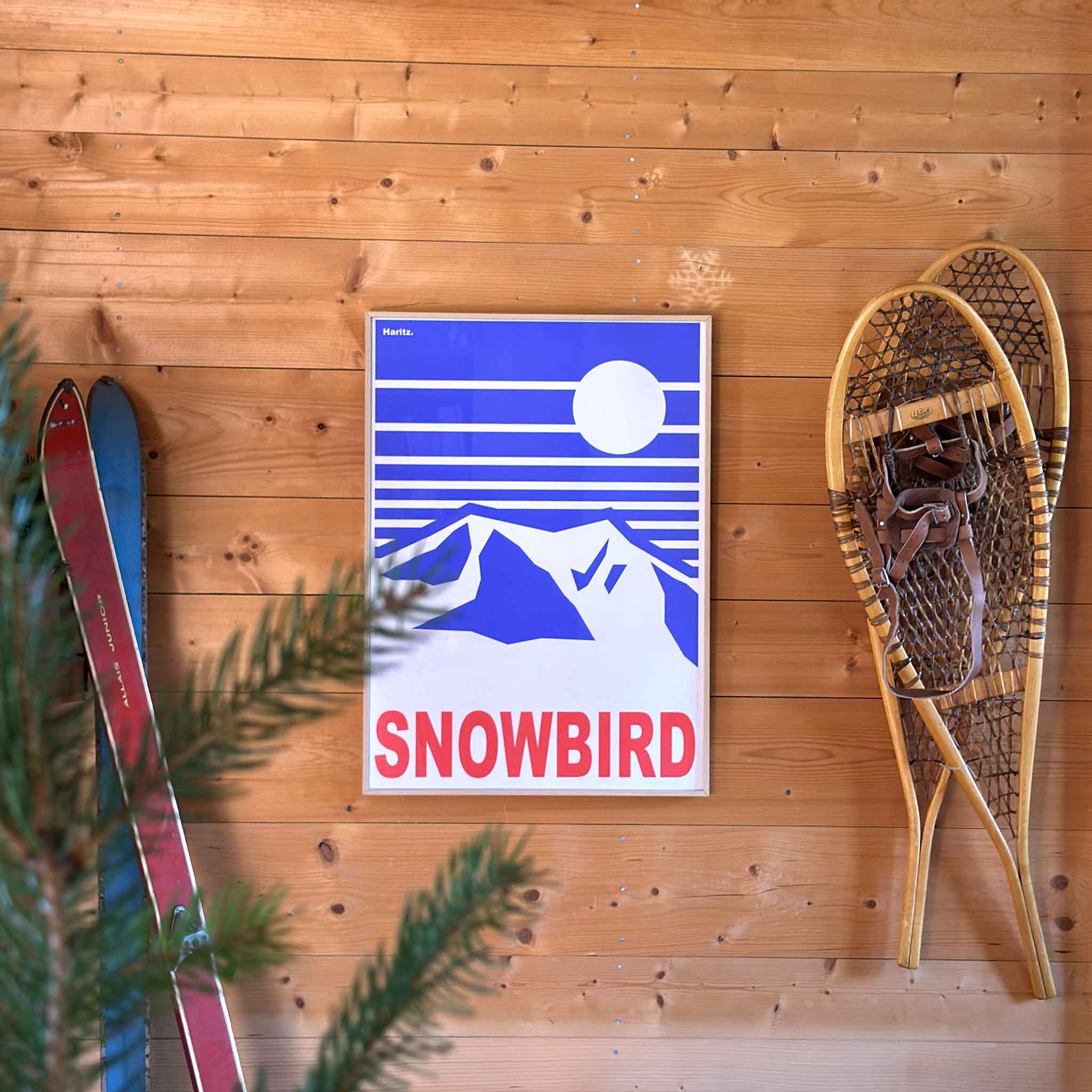 Snowbird 80's