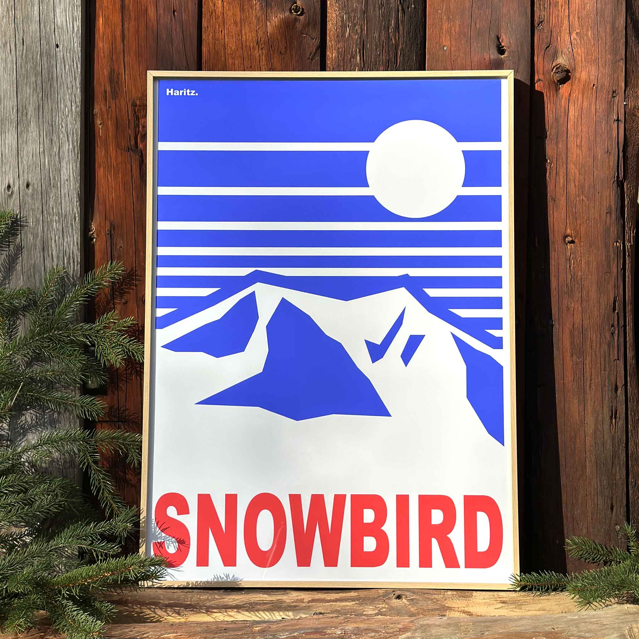 Snowbird 80's