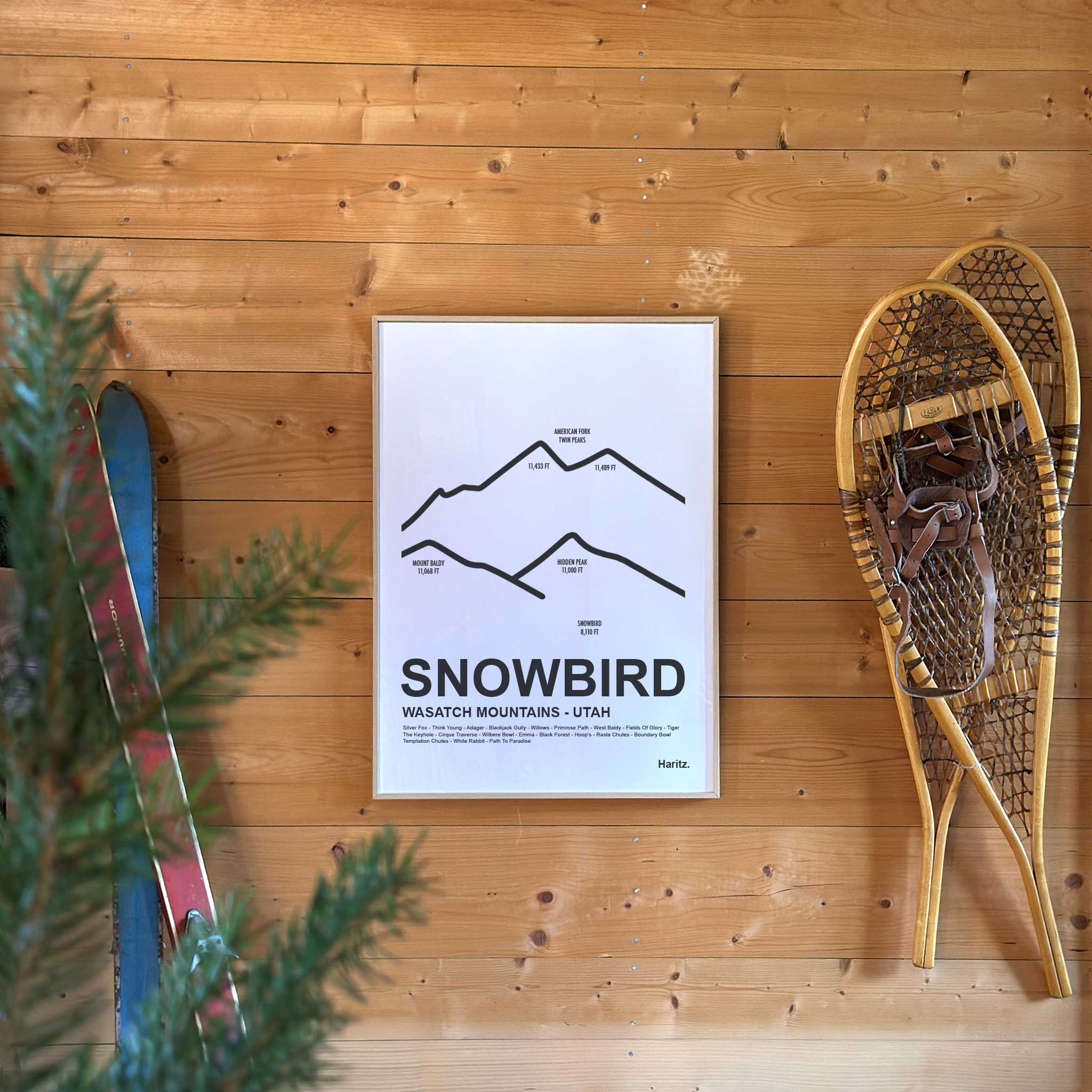 Snowbird