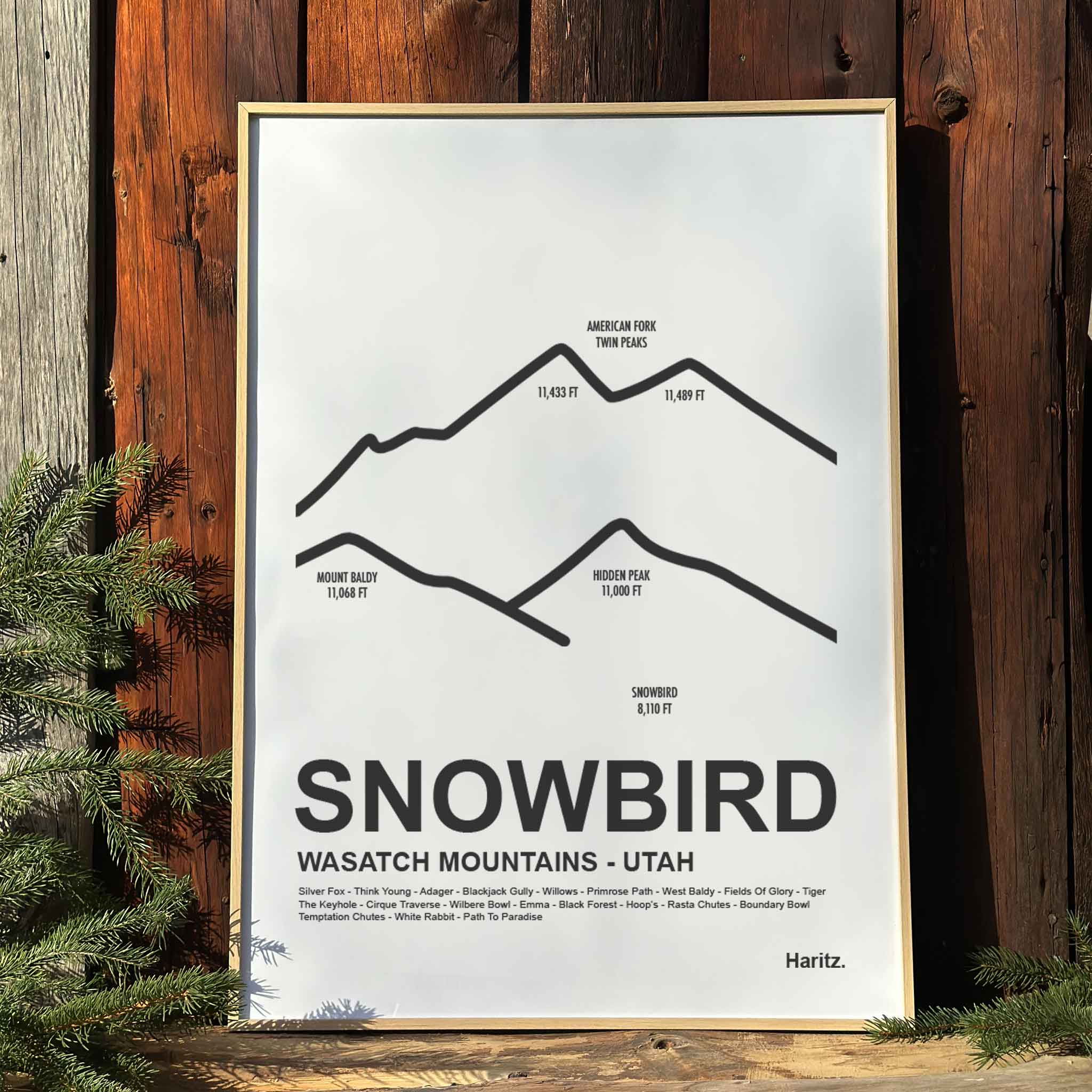 Snowbird